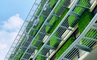 Green wall vertical facade garden passive cooling eco friendly strategy building