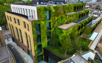 Kings Walk building with full living wall