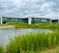 pond