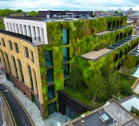 Vertical garden