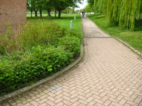 view of path